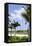 Beach Lifeguard Tower '83 St', Atlantic Ocean, Miami South Beach, Florida, Usa-Axel Schmies-Framed Premier Image Canvas