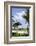 Beach Lifeguard Tower '83 St', Atlantic Ocean, Miami South Beach, Florida, Usa-Axel Schmies-Framed Photographic Print