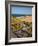 Beach Los CaOs De Meca, Cadiz, Andalusia, Spain-Carlos Sánchez Pereyra-Framed Photographic Print