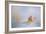 Beach Memories 1-Jai Johnson-Framed Giclee Print