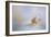 Beach Memories 1-Jai Johnson-Framed Giclee Print