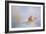 Beach Memories 1-Jai Johnson-Framed Giclee Print