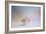 Beach Memories 3-Jai Johnson-Framed Giclee Print