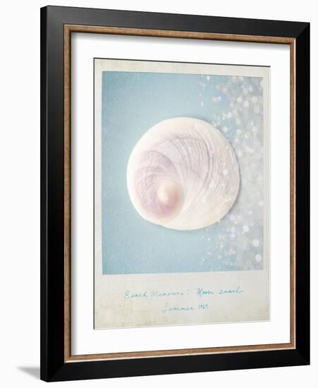 Beach Memories Moon Snail-Susannah Tucker-Framed Art Print