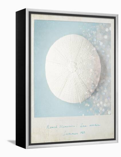 Beach Memories Sea Urchin-Susannah Tucker-Framed Stretched Canvas