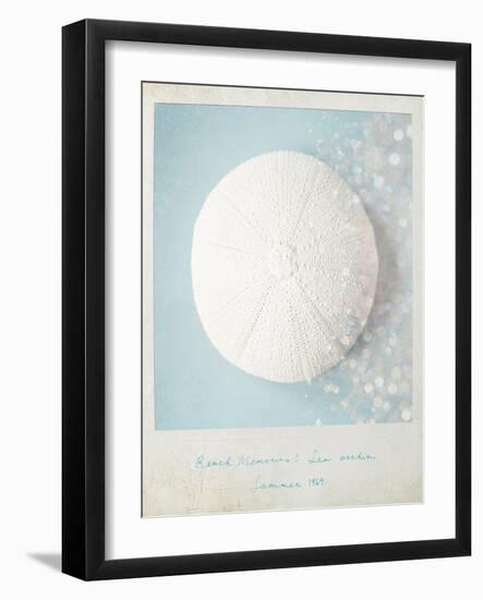 Beach Memories Sea Urchin-Susannah Tucker-Framed Art Print
