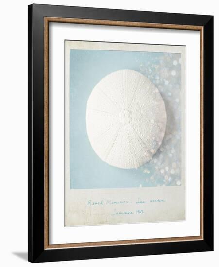 Beach Memories Sea Urchin-Susannah Tucker-Framed Art Print