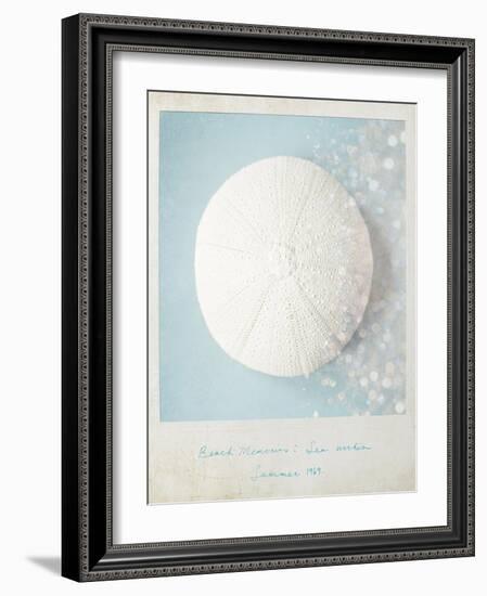 Beach Memories Sea Urchin-Susannah Tucker-Framed Art Print