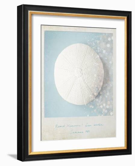Beach Memories Sea Urchin-Susannah Tucker-Framed Art Print