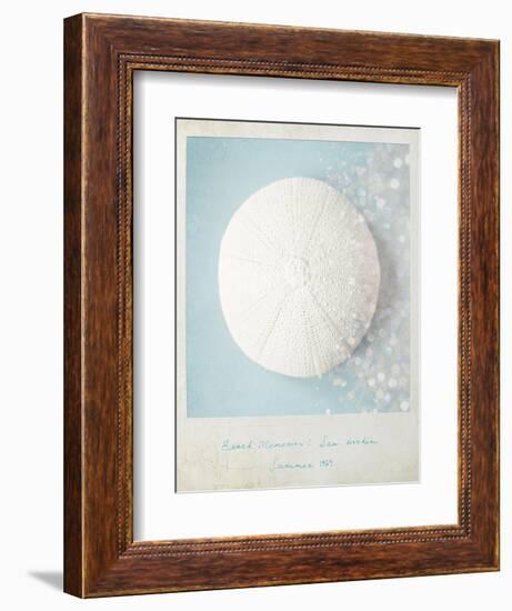 Beach Memories Sea Urchin-Susannah Tucker-Framed Art Print