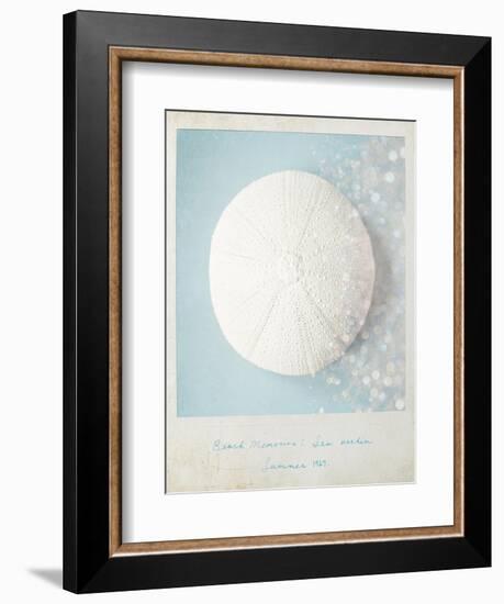 Beach Memories Sea Urchin-Susannah Tucker-Framed Art Print