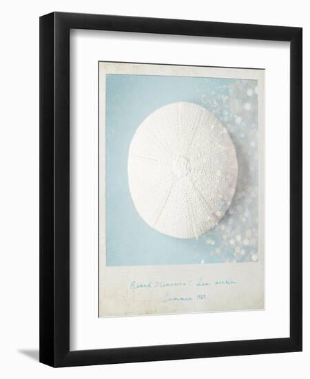 Beach Memories Sea Urchin-Susannah Tucker-Framed Art Print