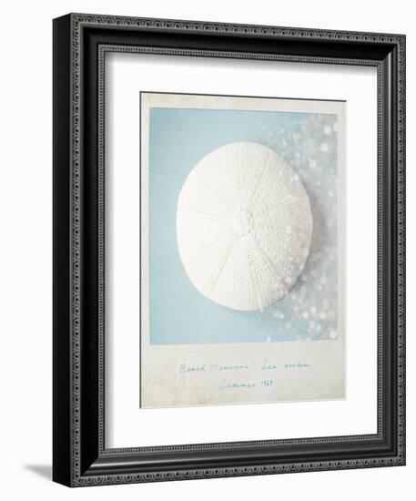 Beach Memories Sea Urchin-Susannah Tucker-Framed Art Print