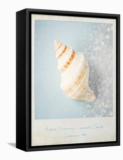 Beach Memories Small Conch-Susannah Tucker-Framed Stretched Canvas
