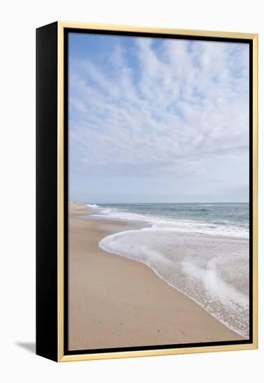 Beach Near Kitty Hawk, Outer Banks, North Carolina-Michael DeFreitas-Framed Premier Image Canvas