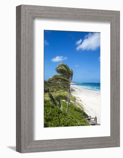 Beach near Nippers Bar, Great Guana Cay, Abaco Islands, Bahamas, West Indies, Central America-Jane Sweeney-Framed Photographic Print