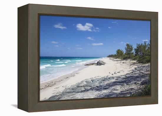 Beach near Nippers Bar, Great Guana Cay, Abaco Islands, Bahamas, West Indies, Central America-Jane Sweeney-Framed Premier Image Canvas