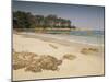 Beach Near Propriano, Corsica, France, Mediterranean-Michael Busselle-Mounted Photographic Print