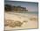 Beach Near Propriano, Corsica, France, Mediterranean-Michael Busselle-Mounted Photographic Print