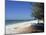 Beach North of Longboat Key, Anna Maria Island, Gulf Coast, Florida, USA-Fraser Hall-Mounted Photographic Print