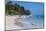 Beach of Bavaro, Punta Cana, Dominican Republic, West Indies, Caribbean, Central America-Michael-Mounted Photographic Print