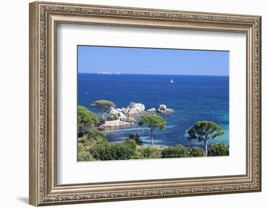 Beach of Palombaggia, Corsica, France, Mediterranean, Europe-Markus Lange-Framed Photographic Print