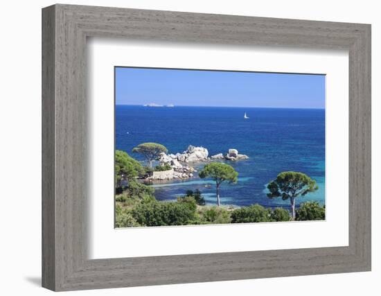 Beach of Palombaggia, Corsica, France, Mediterranean, Europe-Markus Lange-Framed Photographic Print