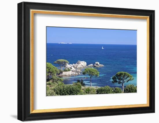 Beach of Palombaggia, Corsica, France, Mediterranean, Europe-Markus Lange-Framed Photographic Print