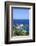 Beach of Palombaggia, Corsica, France, Mediterranean, Europe-Markus Lange-Framed Photographic Print