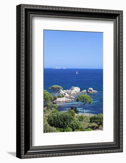 Beach of Palombaggia, Corsica, France, Mediterranean, Europe-Markus Lange-Framed Photographic Print