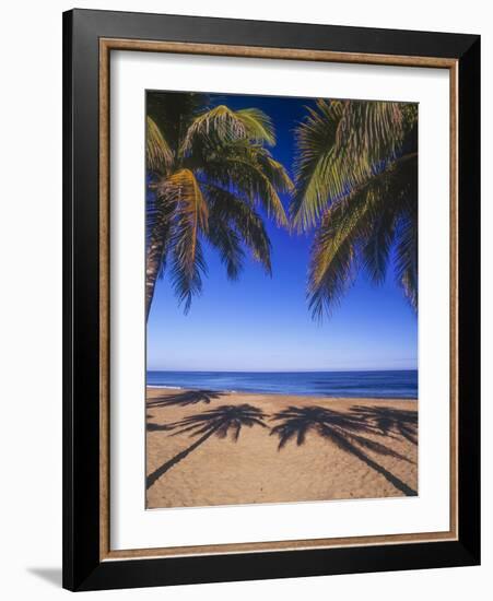 Beach of the Peak, Puerto Rico. Palm trees and their shadows on beach.-Stuart Westmorland-Framed Photographic Print