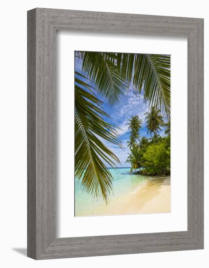 Beach on a tropical island in the South Male Atoll, Maldives-Jon Arnold-Framed Photographic Print