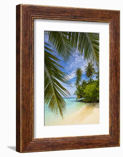 Beach on a tropical island in the South Male Atoll, Maldives-Jon Arnold-Framed Photographic Print