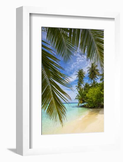 Beach on a tropical island in the South Male Atoll, Maldives-Jon Arnold-Framed Photographic Print