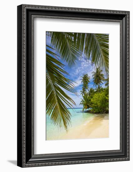 Beach on a tropical island in the South Male Atoll, Maldives-Jon Arnold-Framed Photographic Print