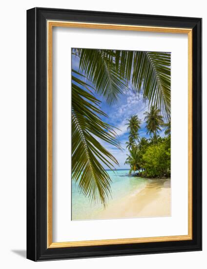 Beach on a tropical island in the South Male Atoll, Maldives-Jon Arnold-Framed Photographic Print