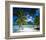 Beach on Bora Bora, Island of Tahiti, French Polynesia, The South Seas-null-Framed Art Print