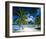 Beach on Bora Bora, Island of Tahiti, French Polynesia, The South Seas-null-Framed Art Print