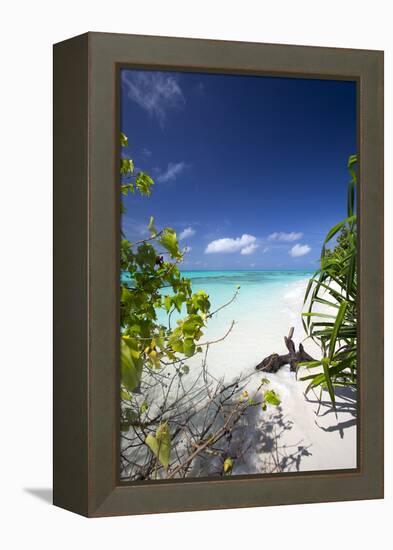 Beach on Desert Island, Maldives, Indian Ocean, Asia-Sakis Papadopoulos-Framed Premier Image Canvas