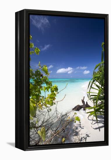 Beach on Desert Island, Maldives, Indian Ocean, Asia-Sakis Papadopoulos-Framed Premier Image Canvas