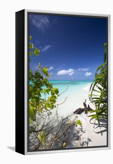 Beach on Desert Island, Maldives, Indian Ocean, Asia-Sakis Papadopoulos-Framed Premier Image Canvas