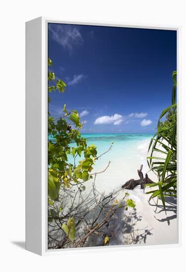 Beach on Desert Island, Maldives, Indian Ocean, Asia-Sakis Papadopoulos-Framed Premier Image Canvas