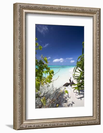 Beach on Desert Island, Maldives, Indian Ocean, Asia-Sakis Papadopoulos-Framed Photographic Print