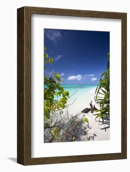 Beach on Desert Island, Maldives, Indian Ocean, Asia-Sakis Papadopoulos-Framed Photographic Print