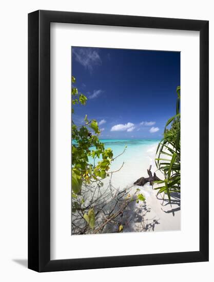 Beach on Desert Island, Maldives, Indian Ocean, Asia-Sakis Papadopoulos-Framed Photographic Print