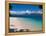 Beach on Fitzroy Island, Queensland, Australia-Michele Falzone-Framed Premier Image Canvas