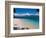 Beach on Fitzroy Island, Queensland, Australia-Michele Falzone-Framed Photographic Print