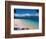 Beach on Fitzroy Island, Queensland, Australia-Michele Falzone-Framed Photographic Print