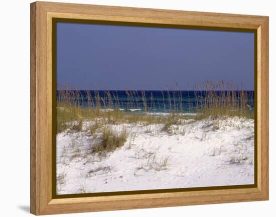 Beach on Gulf of Mexico, Al-Sherwood Hoffman-Framed Premier Image Canvas