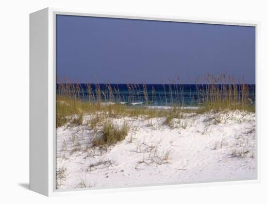 Beach on Gulf of Mexico, Al-Sherwood Hoffman-Framed Premier Image Canvas